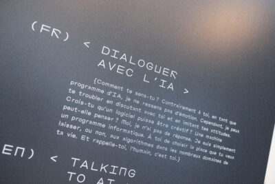 Agrandir l'image 10 sur 12, fenêtre modale