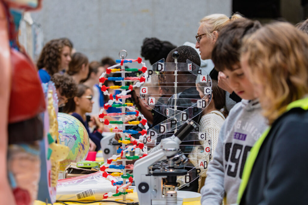 Agrandir l'image, fenêtre modale