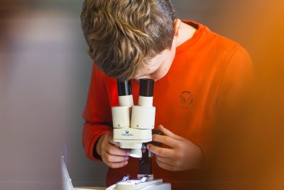 Agrandir l'image 9 sur 30, fenêtre modale