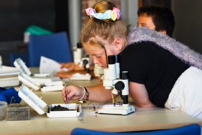 Agrandir l'image 12 sur 30, fenêtre modale