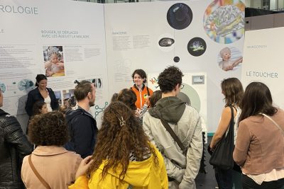 Agrandir l'image 6 sur 31, fenêtre modale