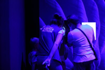 Agrandir l'image 21 sur 31, fenêtre modale