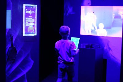 Agrandir l'image 18 sur 31, fenêtre modale