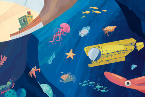 Illustration de l'affiche Océan une plongée insolite en Normandie