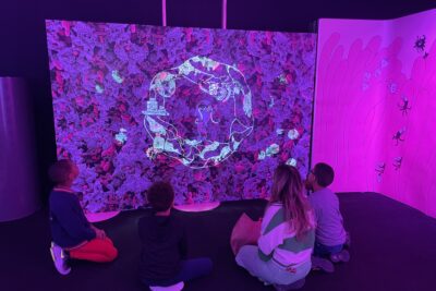 Agrandir l'image 3 sur 3, fenêtre modale