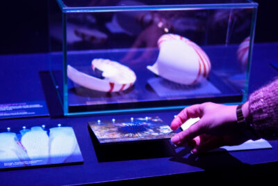 Agrandir l'image 1 sur 3, fenêtre modale