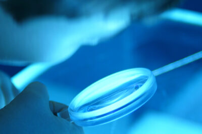 Agrandir l'image 29 sur 31, fenêtre modale