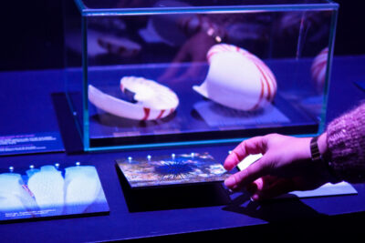 Agrandir l'image 1 sur 6, fenêtre modale