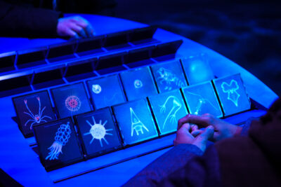 Agrandir l'image 3 sur 9, fenêtre modale