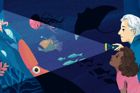 Visuel pour l'escape game de l'exposition Océan à l'Atrium