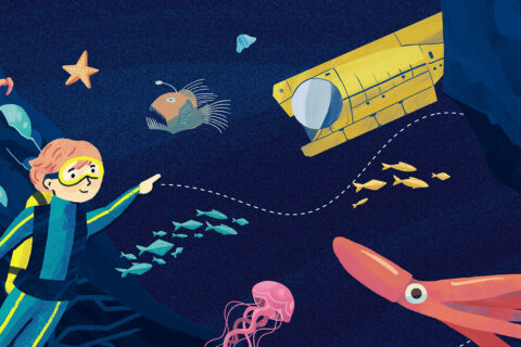 Visuel pour la visite contée de l'exposition Océan à l'Atrium