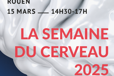 Visuel pour la Semaine du Cerveau 2025